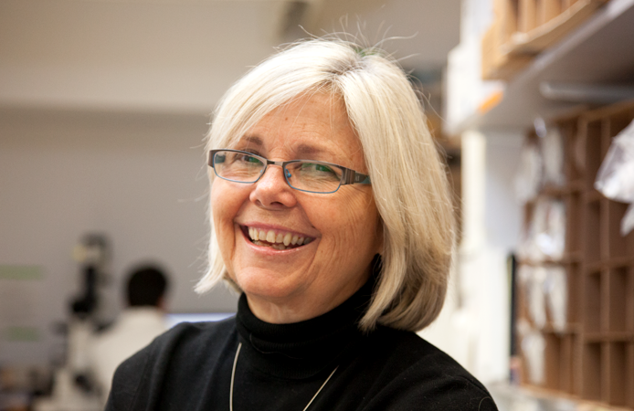 Joan Brugge