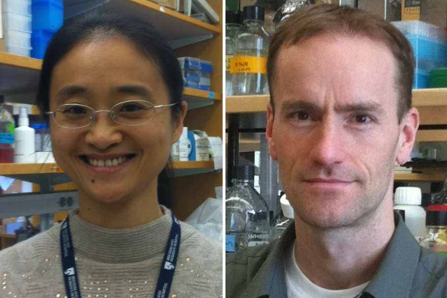Yuezhou Chen and Duane Wesemann