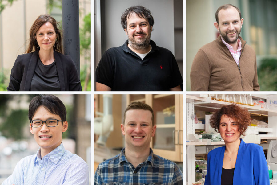 Ana Fiszbein (clockwise from top left), Michael Albro, Jonathan Huggins, Rabia Yazicigil, Andrew Sabelhaus, and Wenchao Li were awarded National Science Foundation Faculty Early Career Development Program (CAREER) awards this year to advance their research in engineering, mathematics, and molecular biology. Photos by Cydney Scott, Jackie Ricciardi, Dana J. Quigley, and courtesy of Sabelhaus