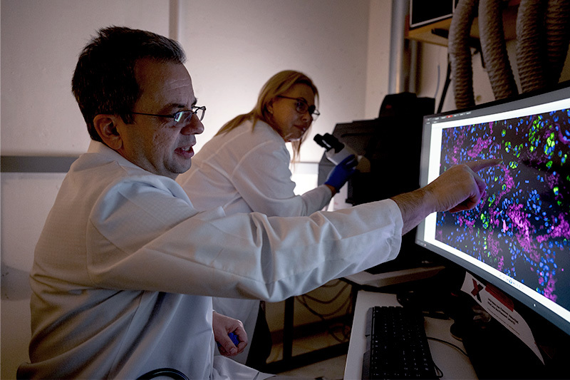 Drs. John Kennedy and Carolina Garcia de Alba Rivas examine the fluorescent staining of the lung tissue samples their team is reviewing.