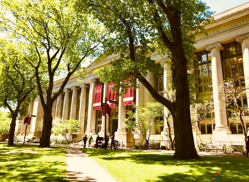 harvard university