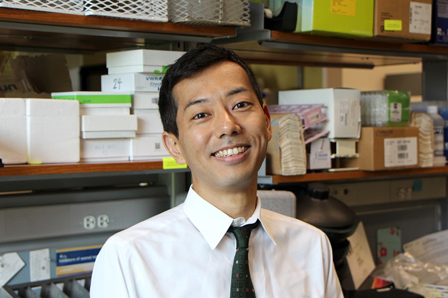 Kazuki Nagashima