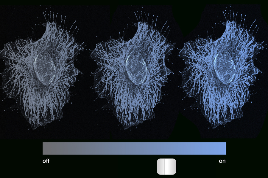 cell switching on