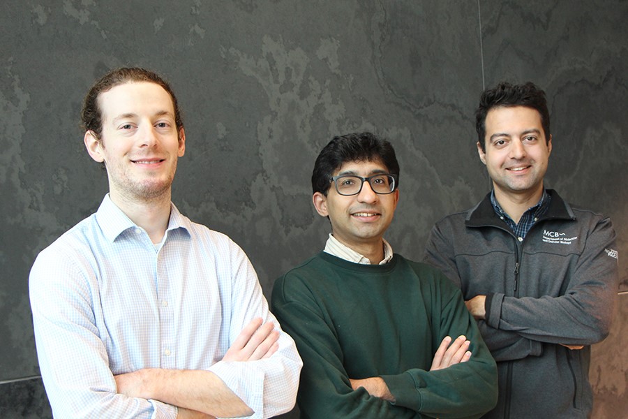 Jeremy Conway, Sohaib Abdul Rehman, and Max Prigozhin