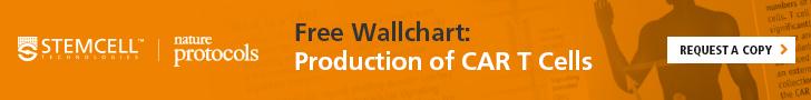 Free Wallchart: Production of CAR T Cells Request a copy