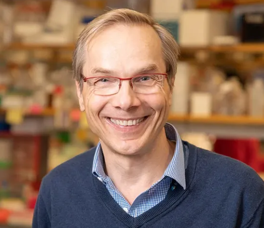 Kai W. Wucherpfennig