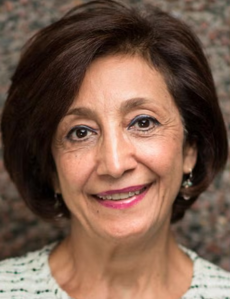 Simin Nikbin Meydani