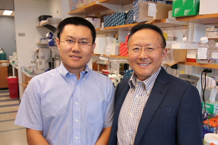 Dan Wang and Guangping Gao