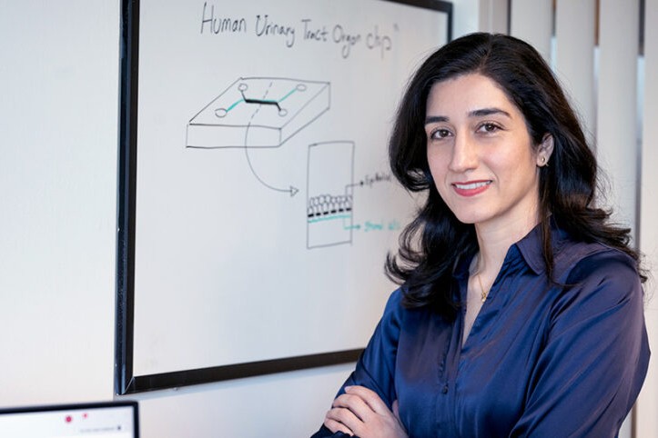Zohreh Izadifar