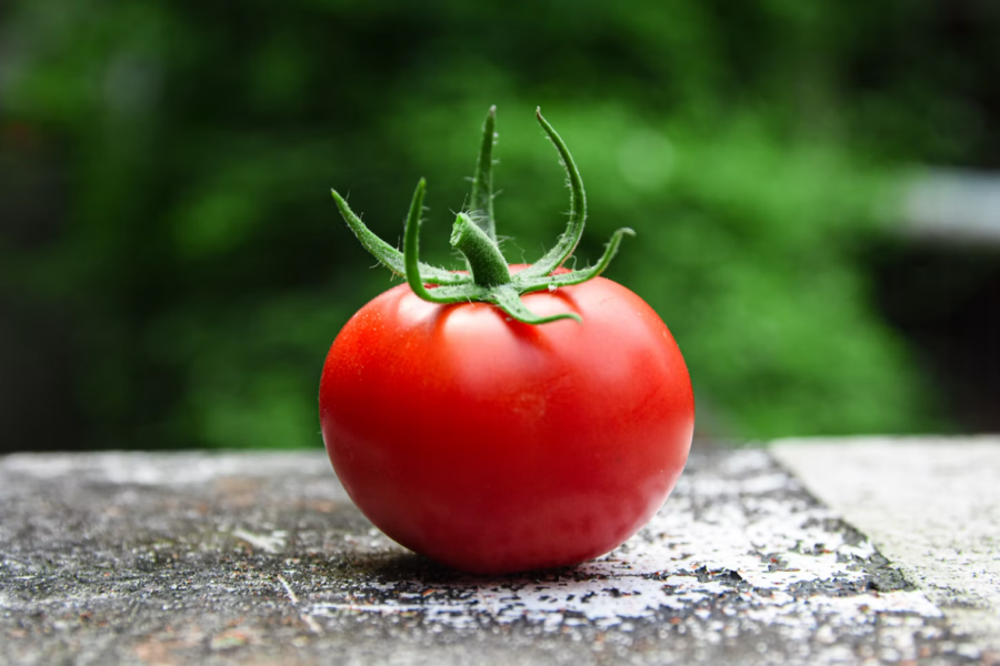 tomato
