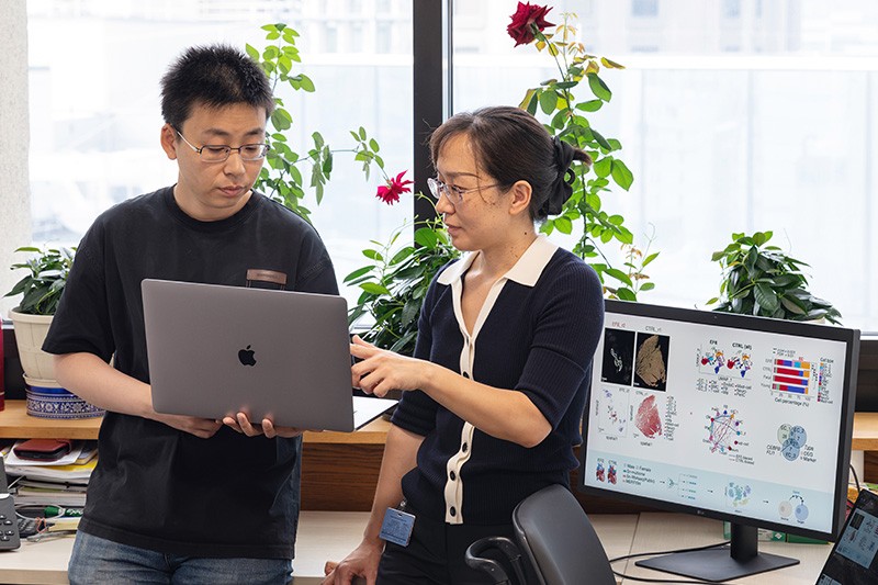 Drs. Yang Yu and Lili Zhang